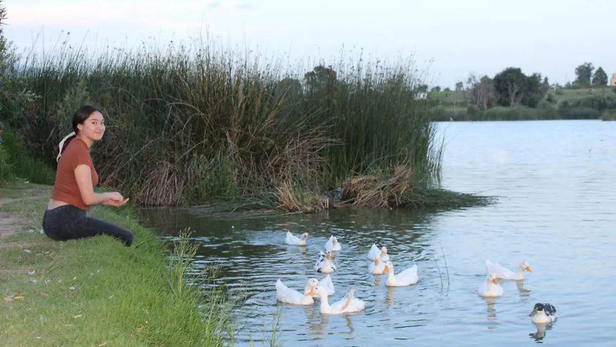 laguna de Acuitlapilco (2)